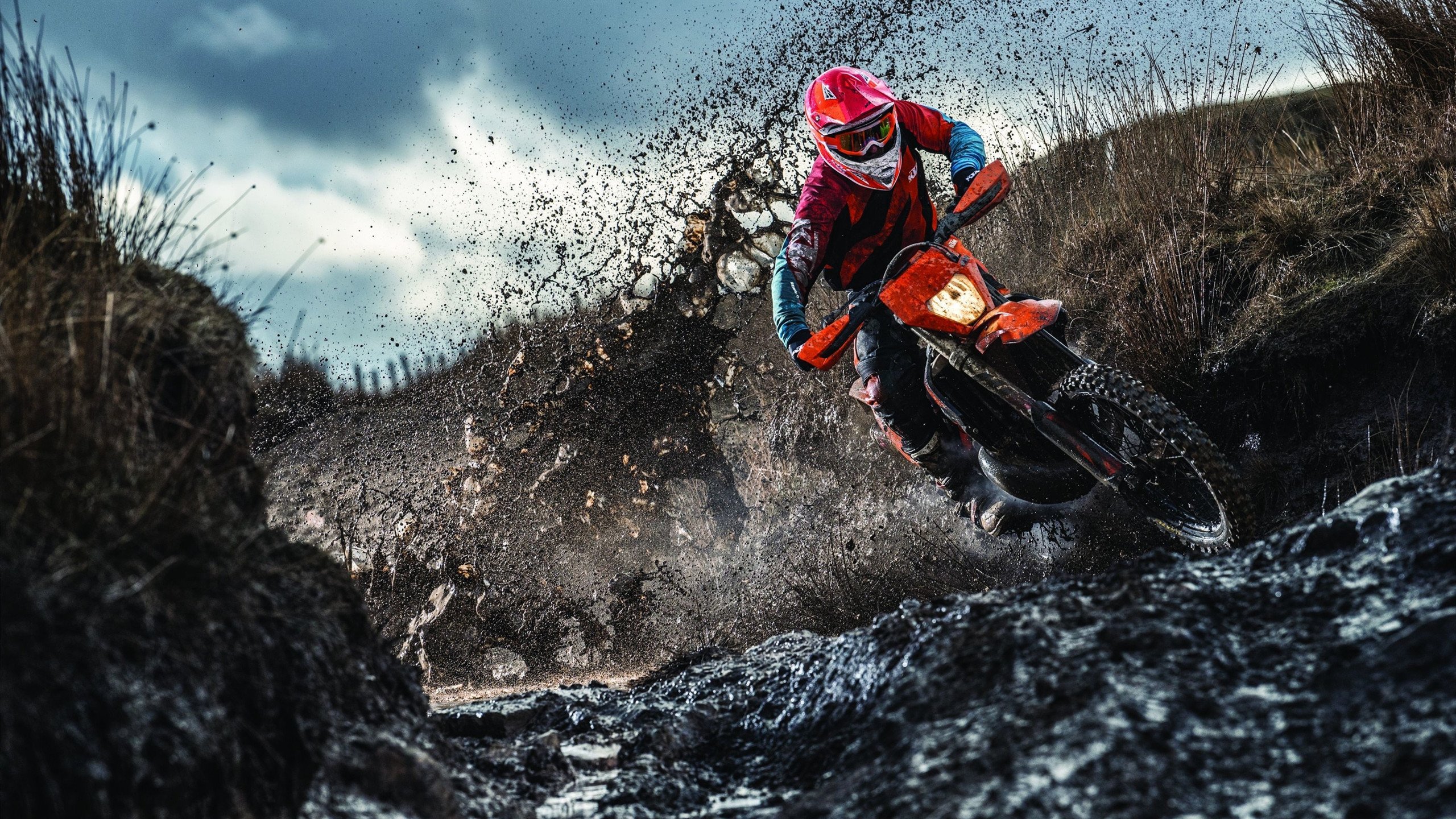 冬季运动推广活动吸引更多家庭参与，冬季运动推广活动吸引更多家庭参与的原因